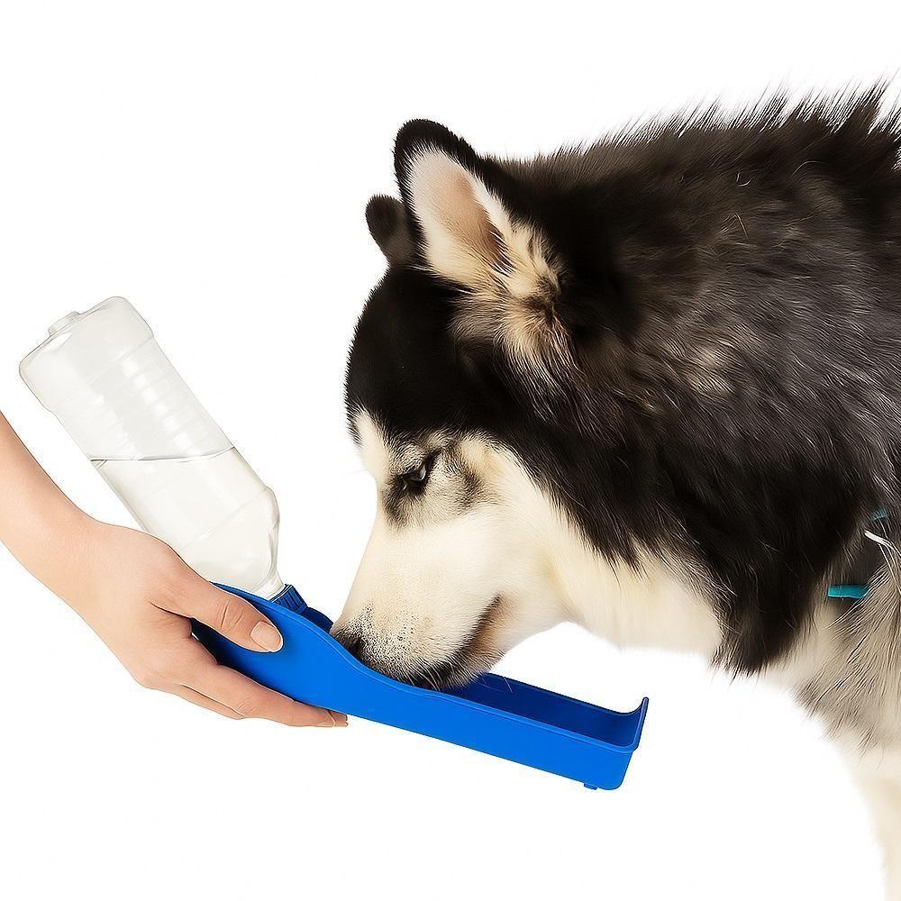 Bebedouro Pet Portátil Garrafa água Cachorro Passeio Viagem Carro 500ml Grande Azul - 4