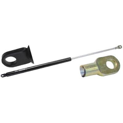 Amortecedor Tampa Motor-bagageiro ônibus 46 Kg 70 X 41 Cm [f103]