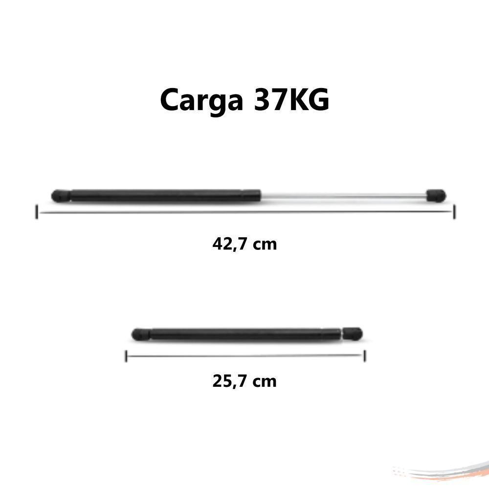 Amortecedor Tampa Motor-bagageiro Caio ônibus 37 Kgf [f103] - 5