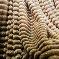 Cobertor Queen Fluffy Manta Flannel Ultrasoft - Gold - 3