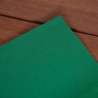 Kit Guardanapos Basic 2 Peças 35cm X 35cm Tecido Oxford 100% Poliéster - Verde - 2