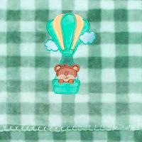 Manta Berço Buettner Baby Estampada Microfibra Bordado Balloon 80cmx100m Verde - 2