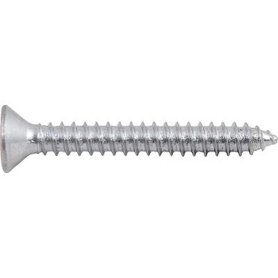 Parafuso Autoatarraxante 4,8x38mm 10 Pçs Vonder