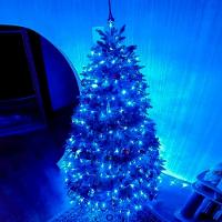 Pisca Cordão Varal Natal 100 Lâmpadas Leds Azul De 10m 220v - 2