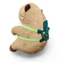 Capivara De Pelúcia Grande 30cm Com Acessório Tartaruga - 5