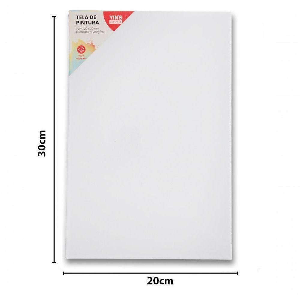 Tela De Pintura Comum 20x30 100% Algodão Pronta Qualidade Branca N-a - 8