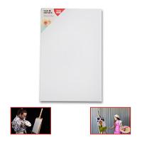 Tela De Pintura Comum 20x30 100% Algodão Pronta Qualidade Branca N-a - 1