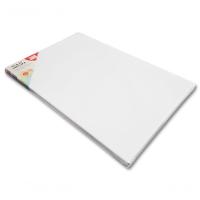 Tela De Pintura Comum 20x30 100% Algodão Pronta Qualidade Branca N-a - 3