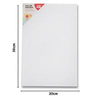 Tela De Pintura Comum 20x30 100% Algodão Pronta Qualidade Branca N-a - 8