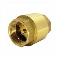 Válvula Retenção Vertical 1-2'' - Brazhu - 2