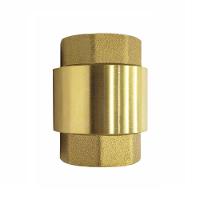 Válvula Retenção Vertical 1-2'' - Brazhu - 3