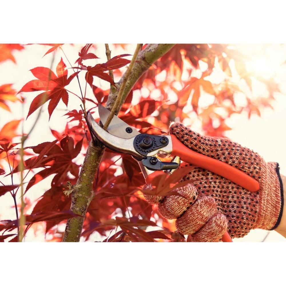 Conjunto De Tesoura De Poda E Tesourão De Poda Cabo Metálico Tramontina 2 Peças - 5
