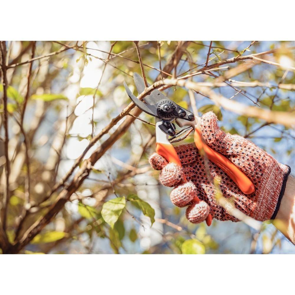 Conjunto De Tesoura De Poda E Tesourão De Poda Cabo Metálico Tramontina 2 Peças - 10