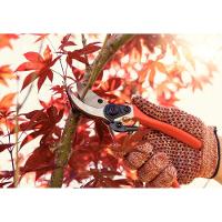 Conjunto De Tesoura De Poda E Tesourão De Poda Cabo Metálico Tramontina 2 Peças - 5