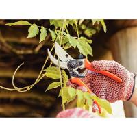 Conjunto De Tesoura De Poda E Tesourão De Poda Cabo Metálico Tramontina 2 Peças - 8