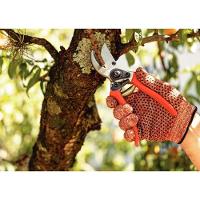 Conjunto De Tesoura De Poda E Tesourão De Poda Cabo Metálico Tramontina 2 Peças - 9