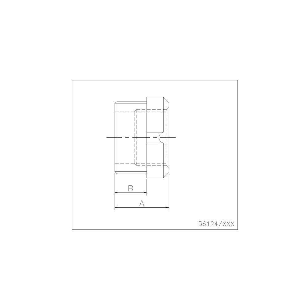 Redução Com Rosca 2.1-2 Polegada X 2 - 5