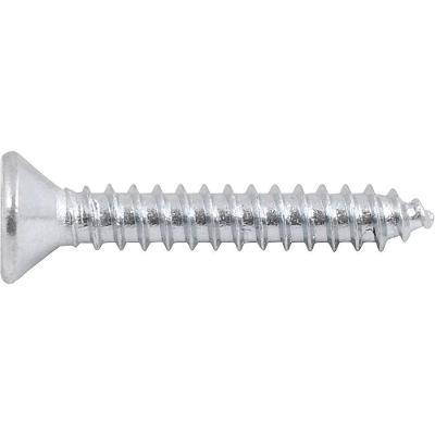 Parafuso Autoatarraxante 3,9x25 Phillips C/ 20 Peças Vonder