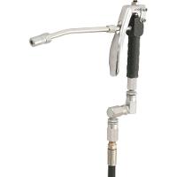 Propulsora Pneumática Com Reservatório 30kg Magueira 2 Metro