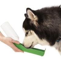 Bebedouro Portátil Pet Garrafa De Água 500ml Para Cachorros Viagem Caminhada Carro Passeio Com Alça Verde