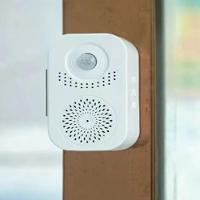 Campainha Sensor Presença Inteligente Lembrete Voz Infravermelho Detector Movimento Por Indução Gravador Alerta Mensagem - 3