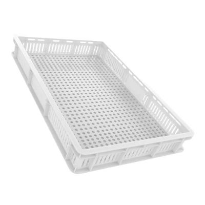 Caixa Plástica Vazada Natural MS64 - Mercoplasa