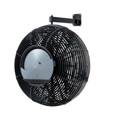 Climatizador De Parede Floripa Preto 220V