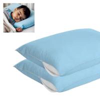 Kit 2 Capas Travesseiro 100% Polipropileno Impermeável 50x70cm - Azul - 2