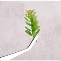 Kit 4 Pincas Precisao Inox Ponta Fina Curva Reta Eletronica - 3