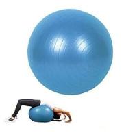 Bola Pilates Yoga Funcional 75cm Suica Fisioterapia Suporta - 1