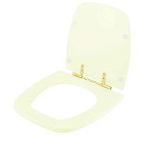 Tampa De Vaso Poliéster Fit Pergamon Para Bacia Celite Com Ferragem Dourada - 2