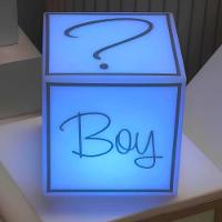 Cubo Iluminado Para Chá Revelação Com Fio - Boy Or Girl? - 5