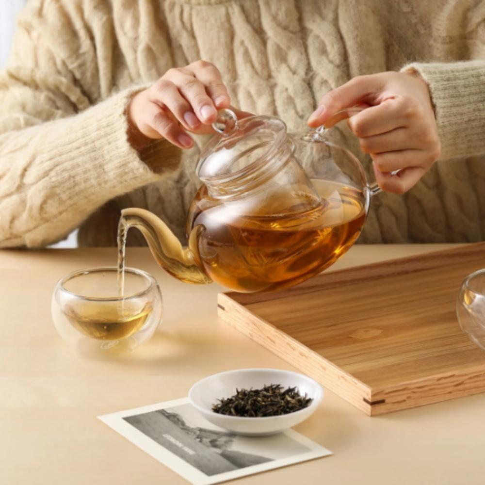 Chaleira Vidro Infusor 600ml Bule Borossilicato Grande Cha Cafe Coador Jarra Parede Dupla Transparente - 5