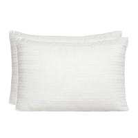 Kit Com 2 Travesseiros Altenburg Suporte Firme 100%poliéster - 2