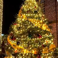 Pisca Cordão Solar Natal 100 Lâmpadas Led Luz Amarelo De 10m - 2