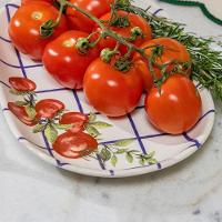 Travessa Copa E Cia Aquarelle Pomodoro E Basílico Em Cerâmica Xadrez - 3