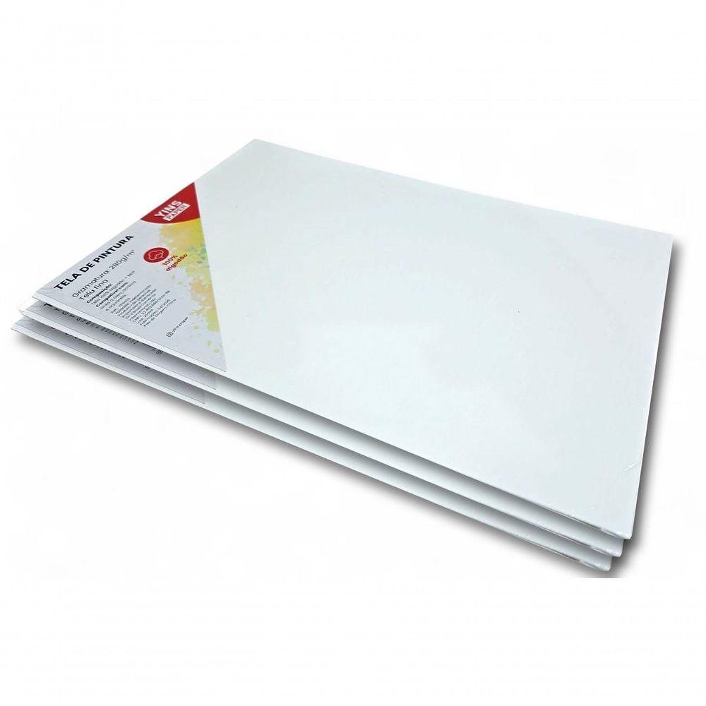 Kit 3 Telas De Pintura Fina 40x50 100% Algodão Pronta - 3