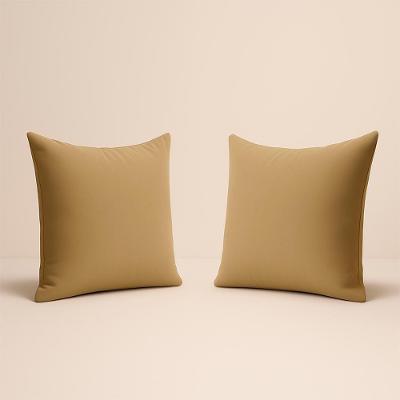 Kit 2 Almofadas 42cm Fofinhas Suede Sala Ou Quarto - Balaqui capuccino Capuccino Capuccino