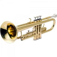 Trompete Bb Htr-300l Laqueado Harmonics - 4