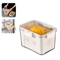 Caixa Organizador Com Tampa Geladeiras, Frutas, Legumes E Carnes - 1