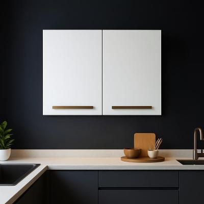 Armário Suspenso Aéreo Pequeno 2 Portas Branco Para Cozinha - Branco