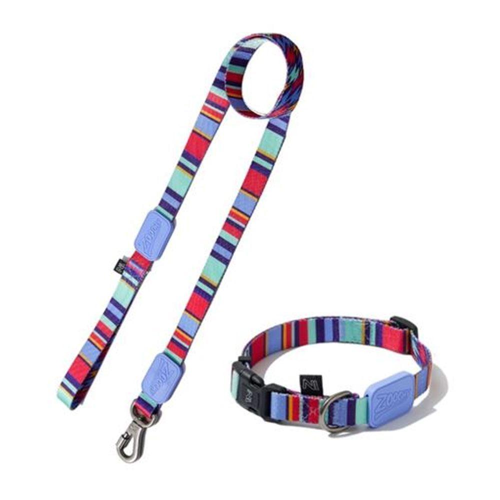 Conjunto Coleira E Guia Ajustável Para Cães - Estampa Violeta Com Raios E Listras - Tamanho P - 1