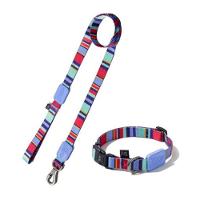 Conjunto Coleira E Guia Ajustável Para Cães - Estampa Violeta Com Raios E Listras - Tamanho P - 1