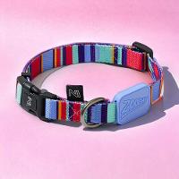 Conjunto Coleira E Guia Ajustável Para Cães - Estampa Violeta Com Raios E Listras - Tamanho P - 3