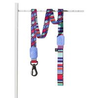 Conjunto Coleira E Guia Ajustável Para Cães - Estampa Violeta Com Raios E Listras - Tamanho P