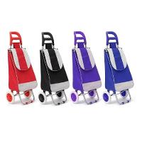 Carrinho Feira Compras Supermercado Multiuso Mao Dobravel Sacola Ecologica Bolsinho - 1