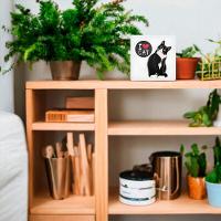 Luminária Usb Slim Gatos Iluminados - Elegância E Conforto Para O Seu Lar!