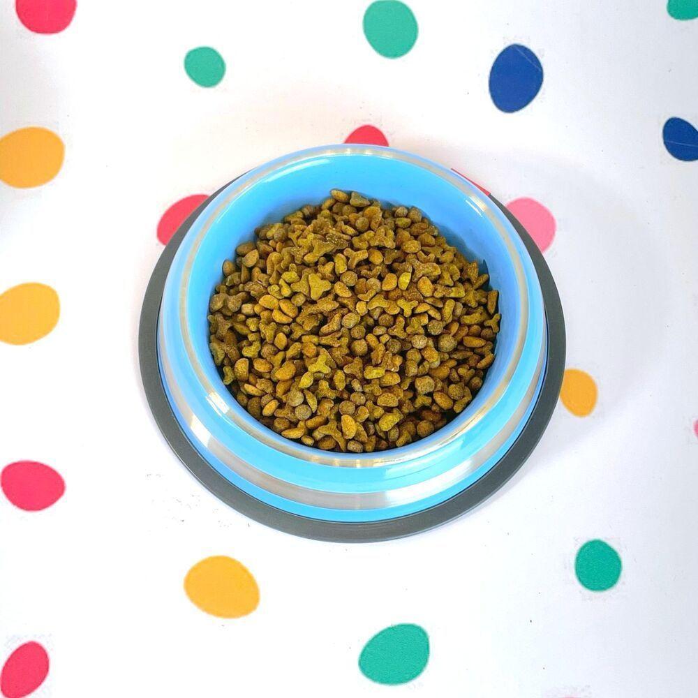 Comedouro Antiderrapante Inox Azul 450ml - Estilo E Conforto Para Seu Pet - 5