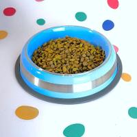 Comedouro Antiderrapante Inox Azul 450ml - Estilo E Conforto Para Seu Pet