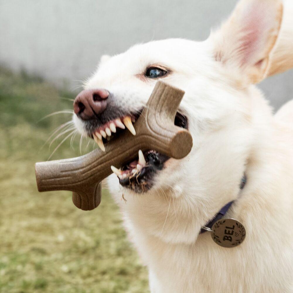 Mordedor Irresistível De Carne Para Cães - Diversão E Saúde A Cada Mordida! - 4